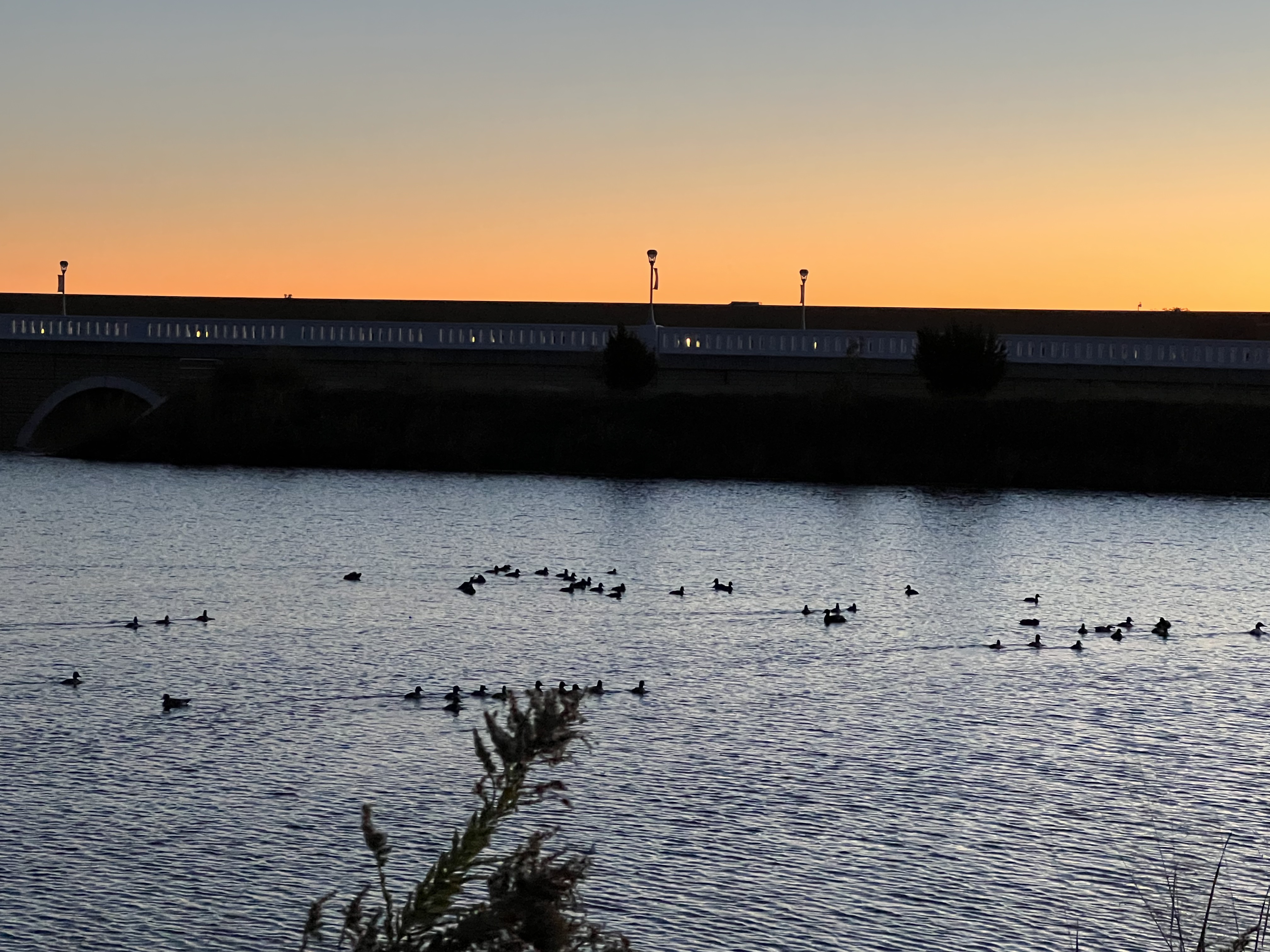 IMG_3767 - Wellness Leadership