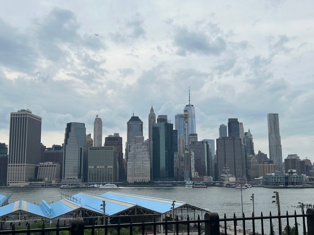 IMG_4693 - Wellness Leadership New York City