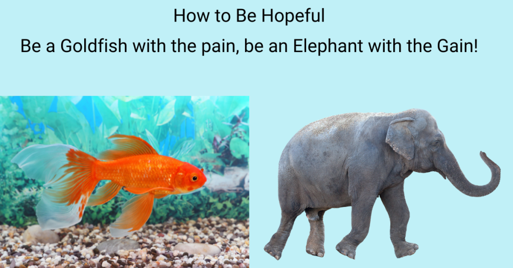 hopeful quote - Wellness Leadership decorative