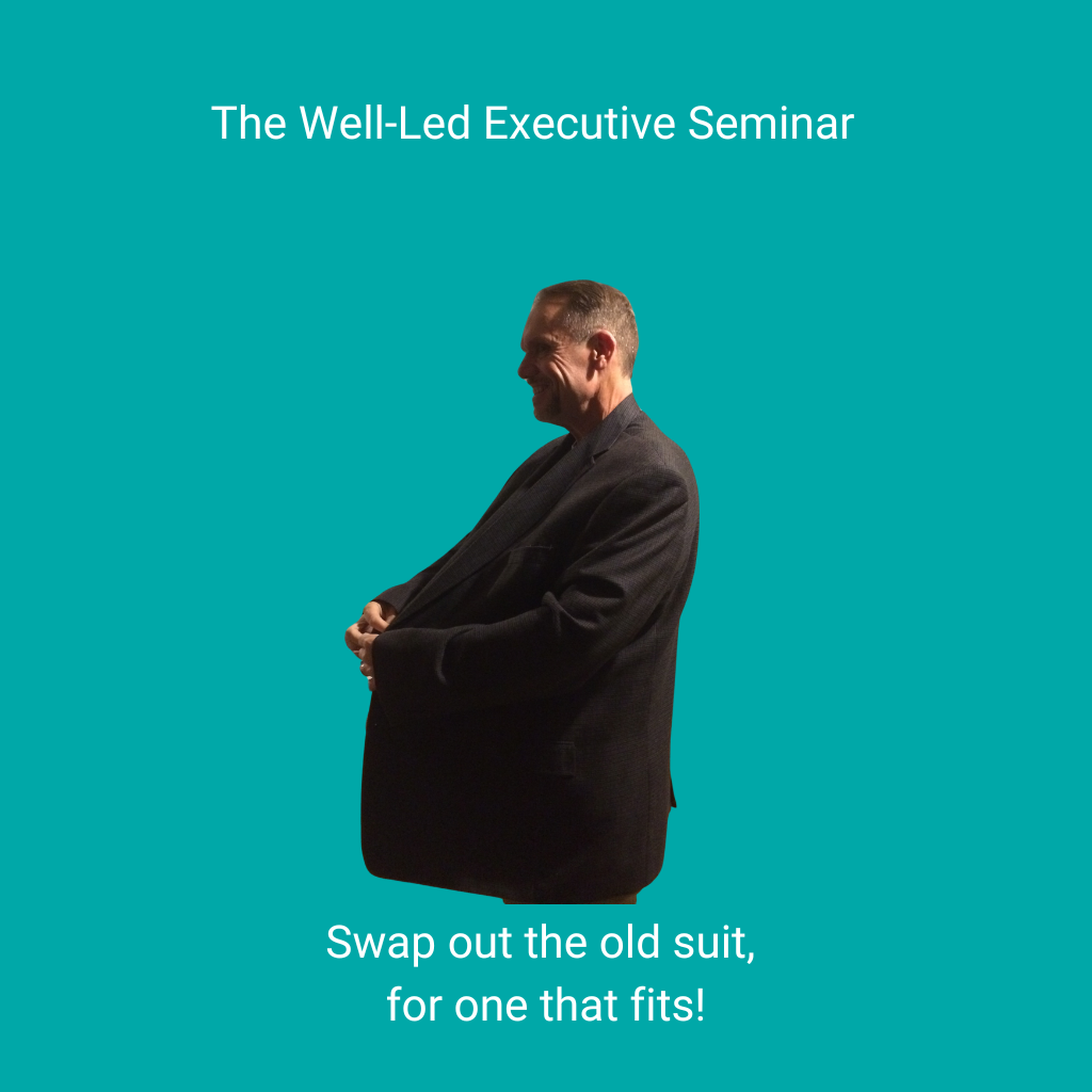 The Well-Led Executive Seminar